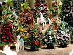 -瑞虹新天地月亮湾