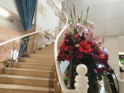 -伽美医疗美容医院·高端抗衰中心