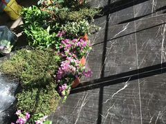 -宠颐生斯嘉宠物医院·急重症·心内科(谷阳北路分院)
