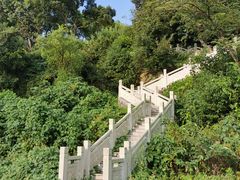 -上海市保健医疗中心