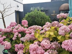 -IFIF 如果花園(宽厚里店)