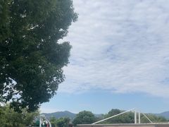 -长兴太湖图影湿地文化园