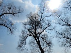 -长春市南湖公园