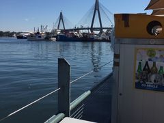 -悉尼鱼市场