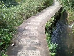 -华蓥山天意谷景区