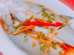 -蛇口康乐快餐鱼仔档(翠苑小区店)