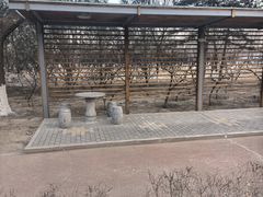 -大兴滨河森林公园