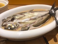 -香浙汇(望京店)