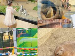 -海合安成都极地海洋公园