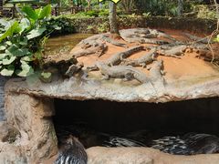 -海南热带野生动植物园