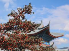 -木府