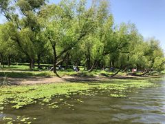 -长春市南湖公园