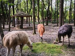 -昆山城市生态森林公园