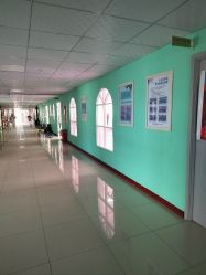 -金孔雀舞蹈学校