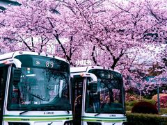 -上海南浦大桥长途旅游客运站