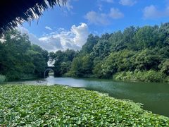 -古韵餐厅(湖畔大学店)