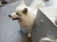 -联合动物医院(光谷诊疗中心)