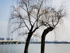 -蠡湖大桥公园