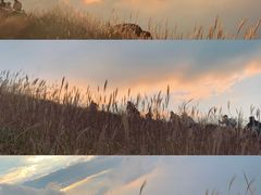 -萍乡武功山风景名胜区