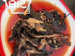 -向外鱼乐·土菜·虹鳟鱼