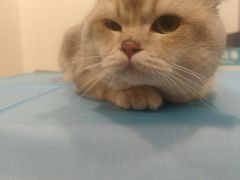 -美迦爱-牙专科·兔科·骨科诊疗中心(北苑店)