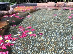 -厦门日月谷温泉渡假村