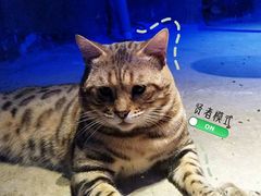 -zoonana室内动物园(东方福来德店)
