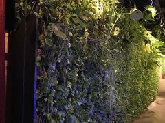 -青年公社烤鸭(蜀山万象汇店)