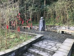 -都江堰中华大熊猫苑