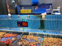 -星伦多自助料理·涮烤一体(嘉兴八佰伴店)