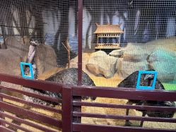 -酷嗒动物文化乐园(cutezoo西溪乐天城店)