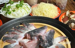 Three Gorges Catfish