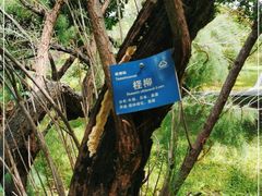 -国家植物园南园