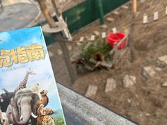 -大连森林动物园