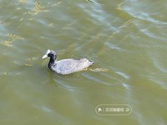 -前关湿地公园
