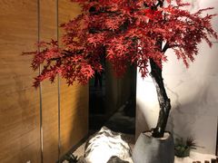 -璞·澐间影院式足道SPA(尚悦湾店)