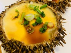 -海胆小馆(东北水饺·春柳店)