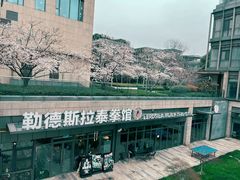 -花环泰拳·勒德斯拉泰拳馆(静安店)