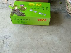 -马陆小张葡萄园农家乐