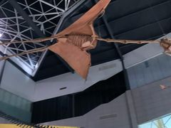 -湖南省地质博物馆