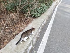 -云龙山