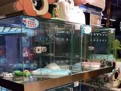 -FAELING PETS美天灵宠物(富力广场店)