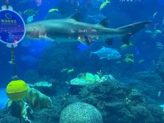 -成都浩海立方海洋公园