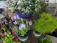 -花里花店(唐镇阳光天地店)