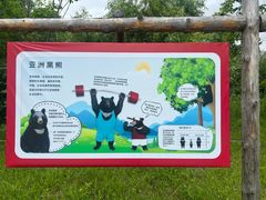 -黑瞎子岛探秘野熊园