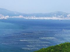 -枸杞岛