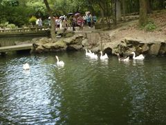 -上海鲁迅故居