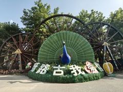 -呀路古热带植物园