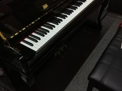 -乐尚音乐空间·钢琴·声乐·架子鼓(会展中心店)