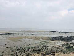 -北海金海湾红树林生态旅游区